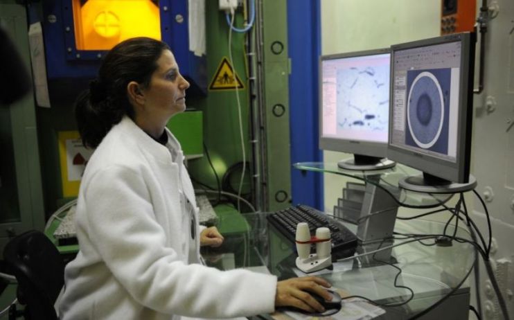 Halma raises payout as profits grow 14 per cent