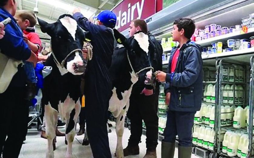 Falling milk prices piles pressure on Arla farmers as revenues drop