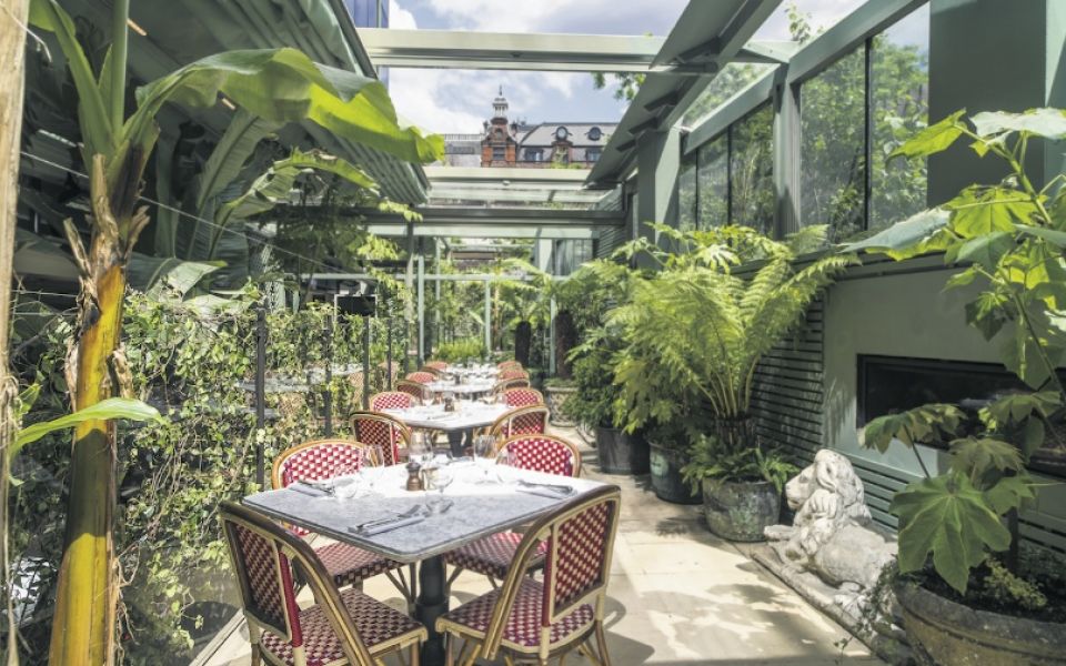 Interiors The Ivy Collection Is Spreading Across London Like A Glamorous Disease We Go On A Restaurant Crawl Through The City Cityam Cityam