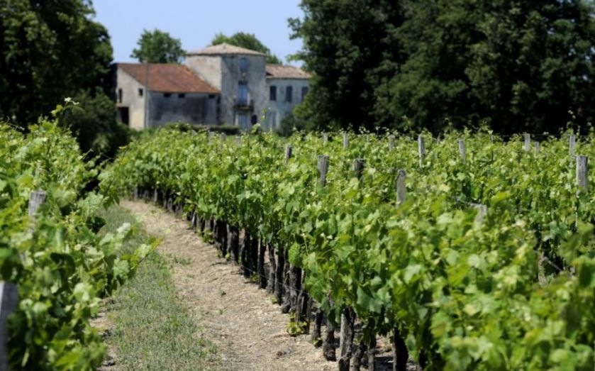 Bordeaux wine has a stuffy  image - here's how to drink it well