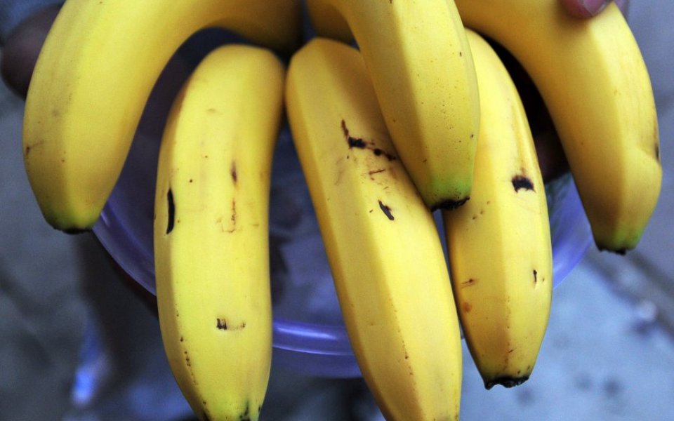 How to stop disease spreading The humble banana could contain a