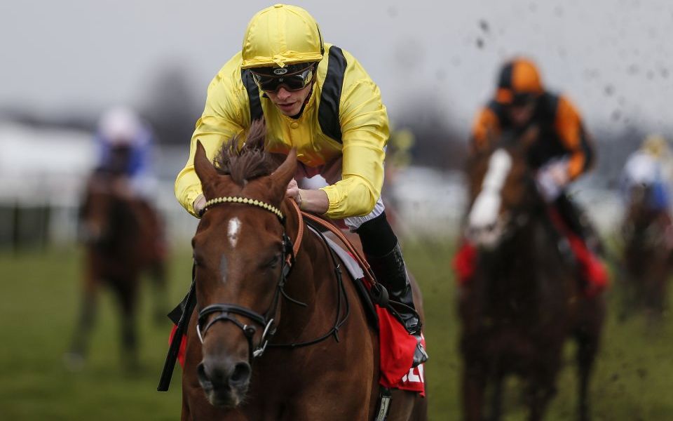 Everything Points towards Devil in mud at Doncaster CityAM