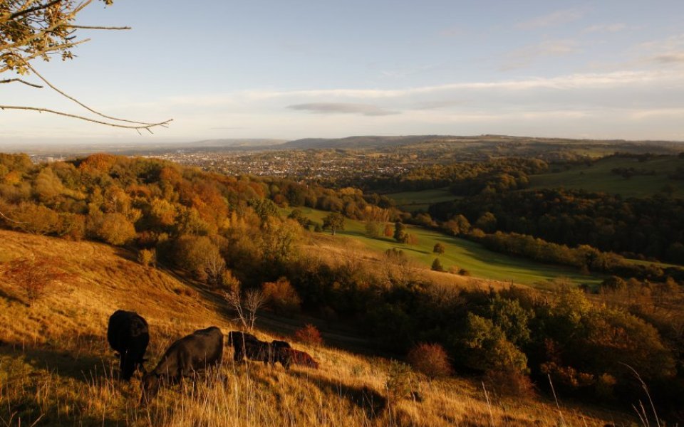 London house prices South East and commuter areas dominate list of