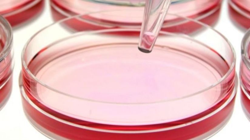 Laboratory testing group Intertek is riding its highest like-for-like revenue posting in a decade