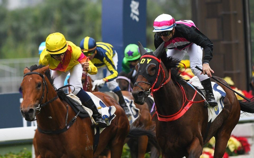 Hong Kong Horse Racing Tips Ho set to close in on Cruz award with a