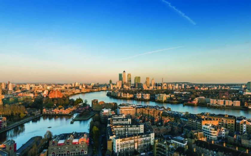 Focus on Poplar: There’s good reason it's getting so popular, you know