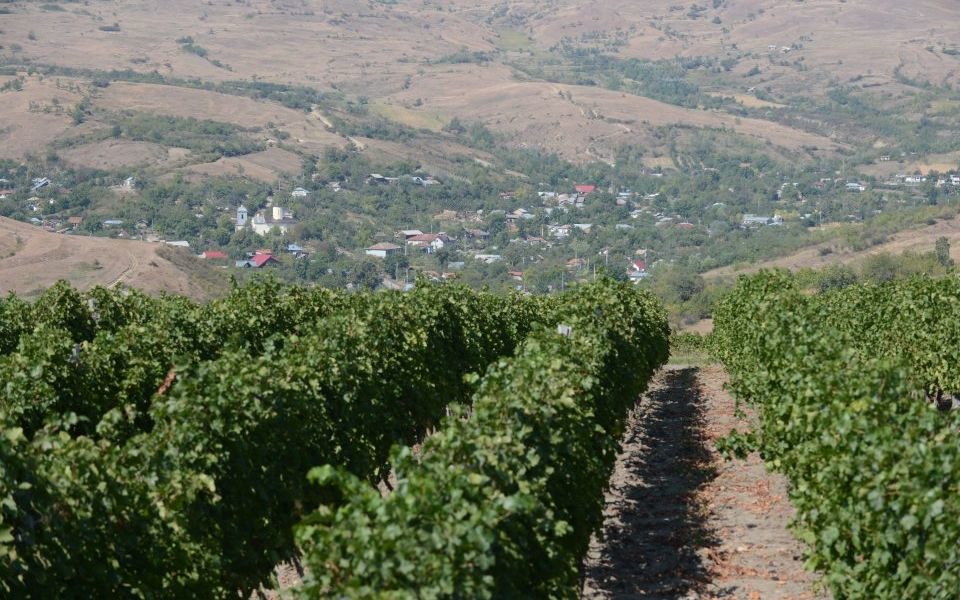 The best of Bucharest: Romania's wine regions come of age - CityAM : CityAM