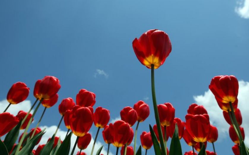 London’s property boom: Right up there with the dot com bubble and