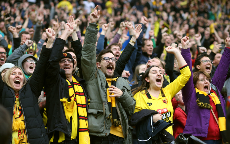 Watford FC supporters cheer a goal