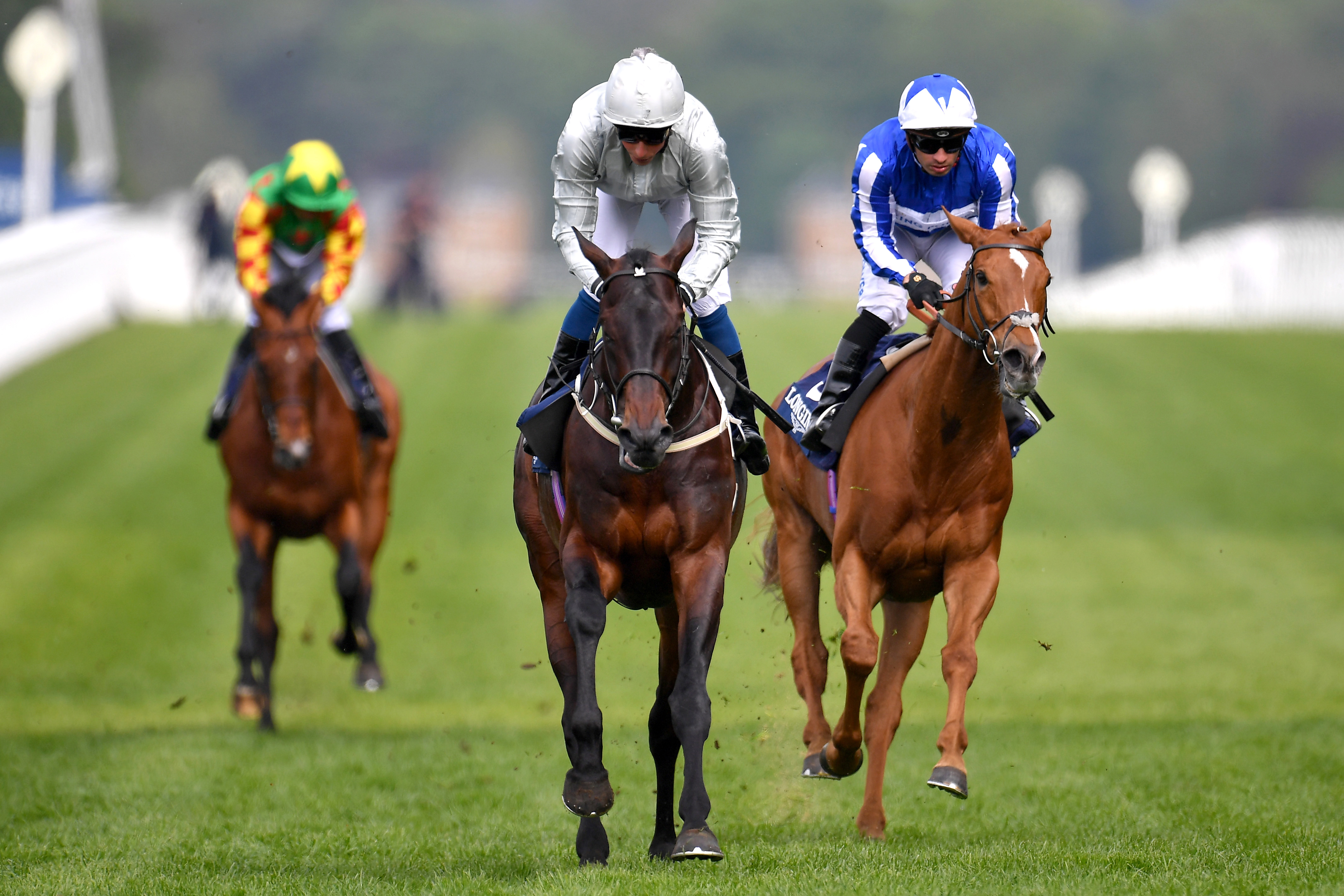 Best Horses To Bet On