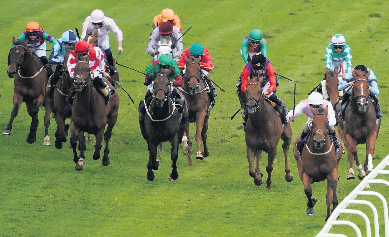 Horse Racing Betting Tips Greenside suited by soft ground on Gentlemen