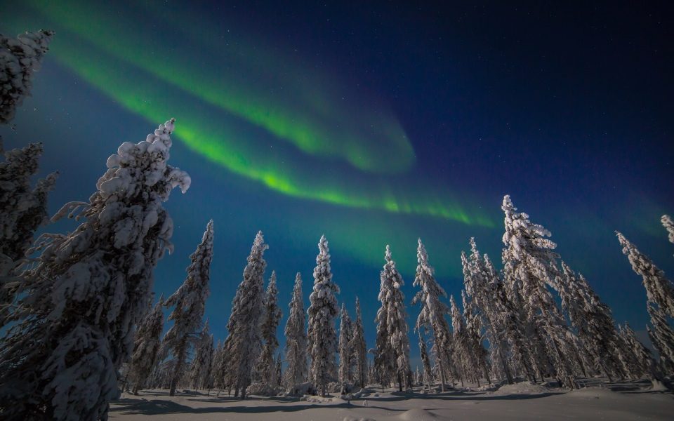 The northern lights over a forest in Finland