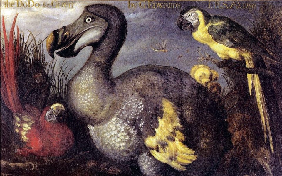 The dodo, which lived on Mauritius