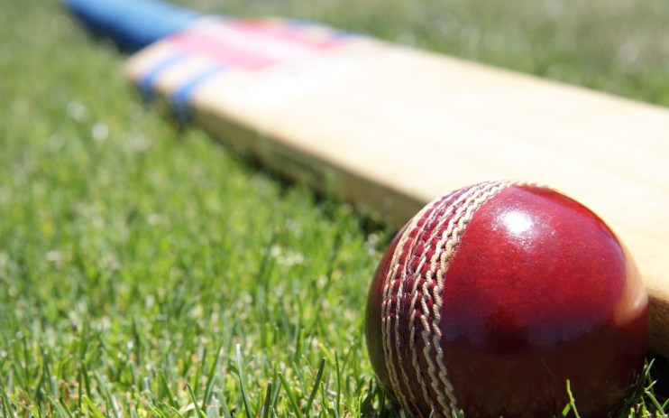 Cricket bat and ball