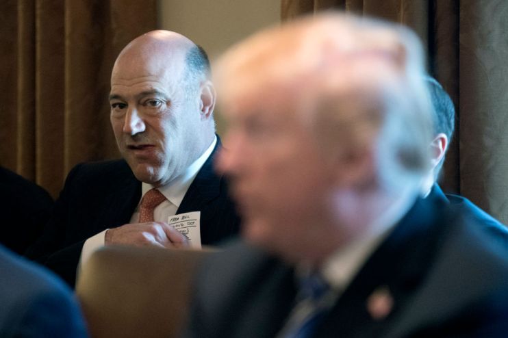 Tariffs hurting US manufacturers, says Trump&rsquo;s ex-economic adviser