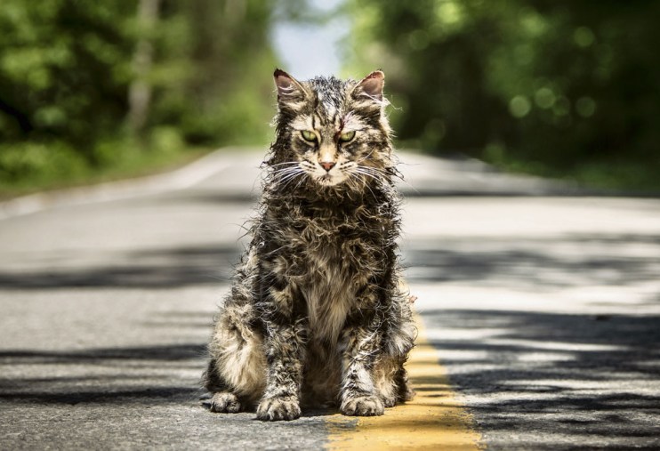 Pet sematary