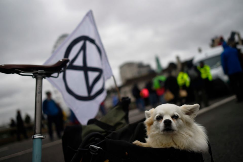Extinction Rebellion London protests