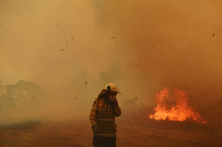 European parliament declares worldwide climate emergency ahead of UN summit