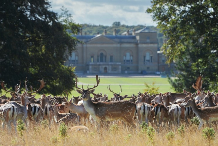 Victoria Inn, Holkham