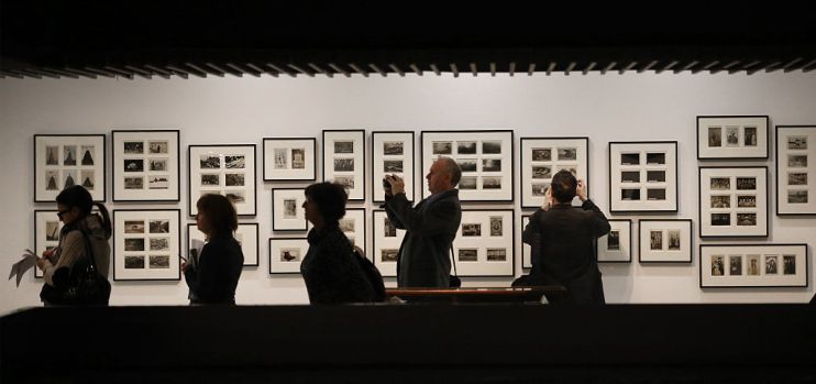 Magnificent Obsessions Installation Images