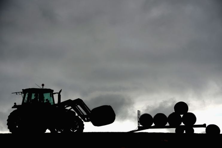 Agriculture's Rising Force: Female Farmers