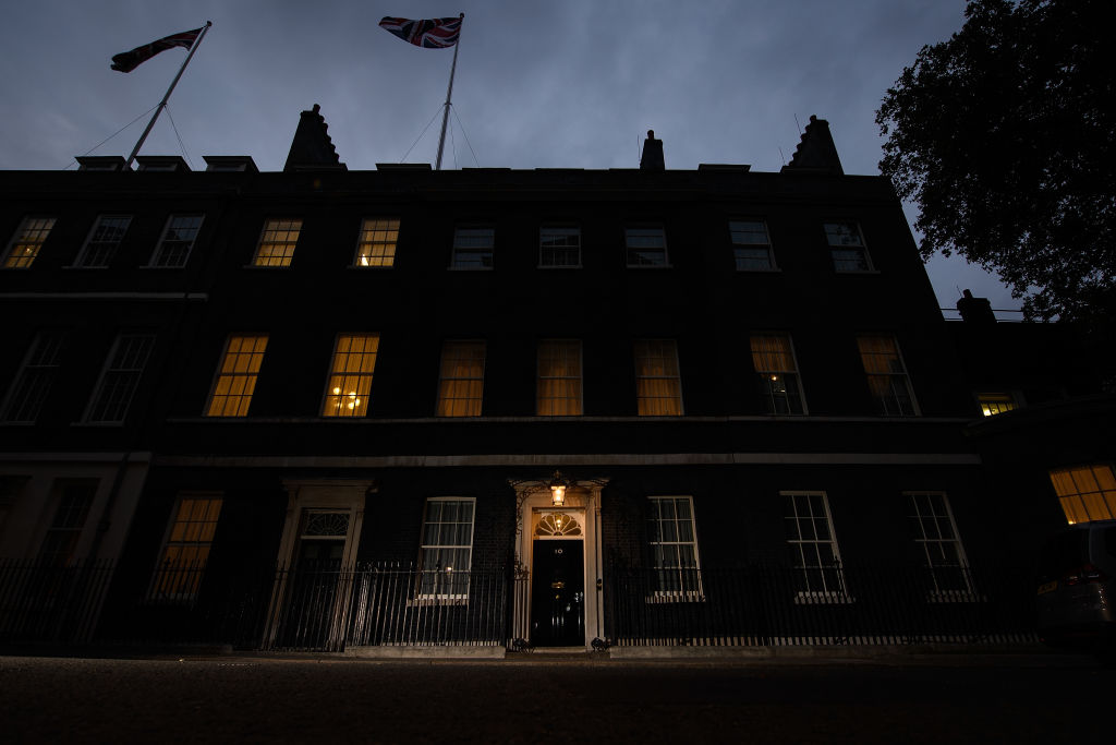 Downing Street will hold a lights display on 31 January