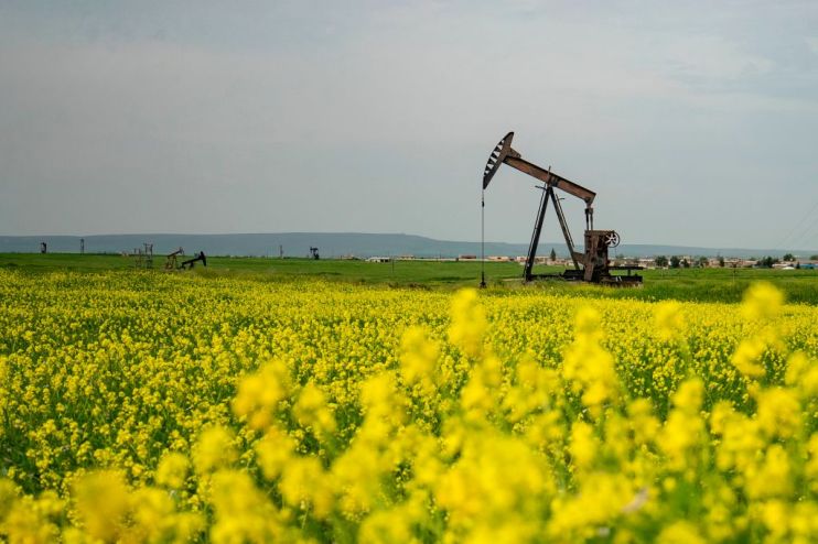 Oil prices continued their rally this afternoon as the global market stabilised after historic levels of volatility earlier this week.