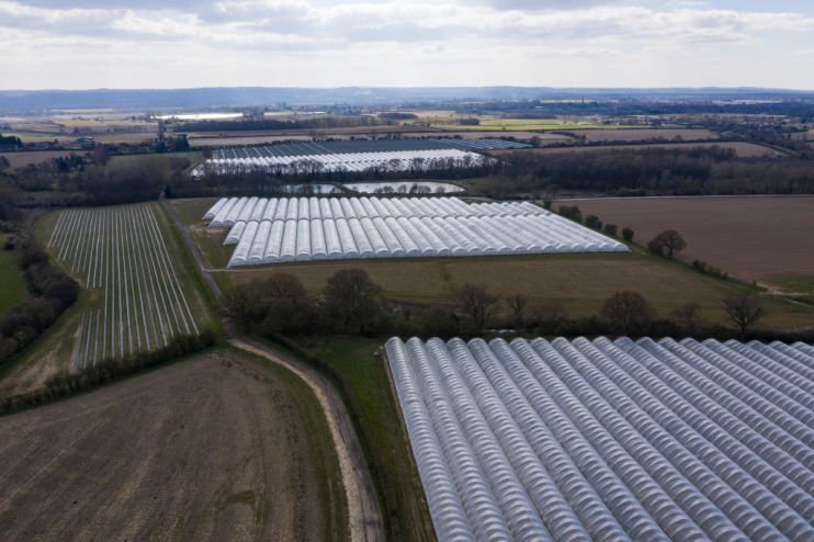 Agriculture firm Carr&rsquo;s Group today confirmed that it would pay shareholders a single combined dividend in October,