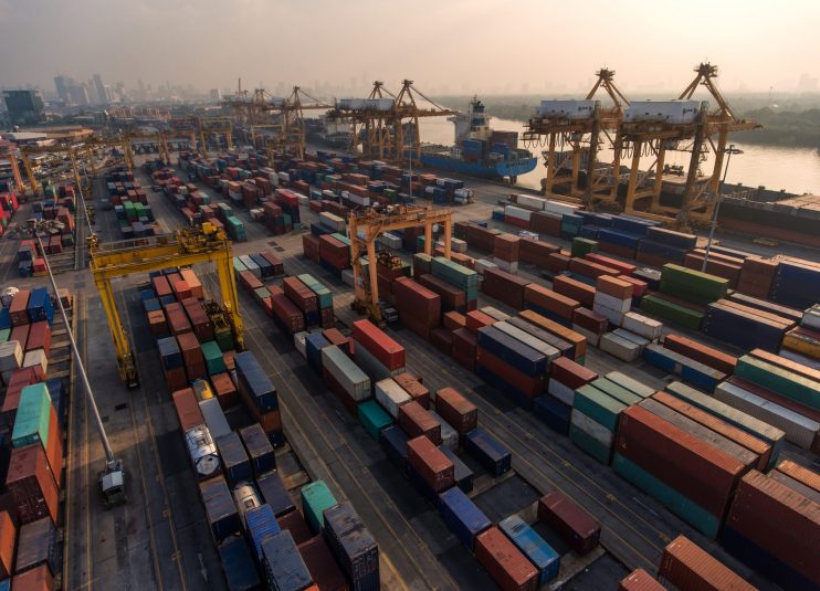 covid-19 coronavirus import duty deferment customs VAT