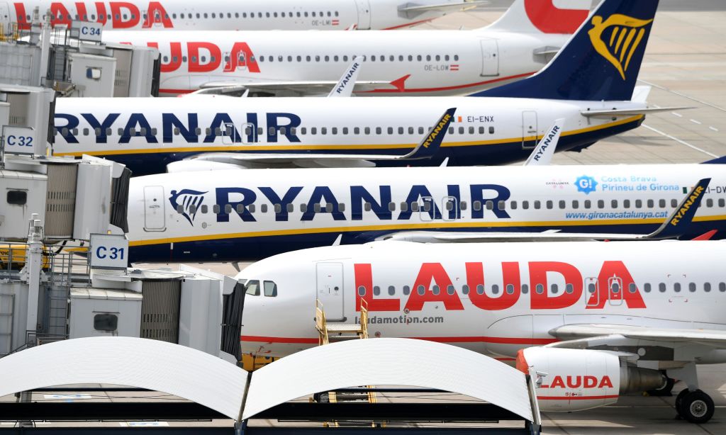 ryanair cat transport