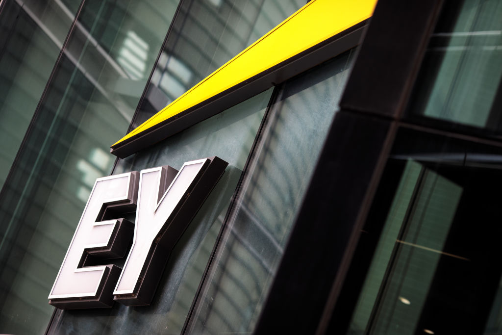 The plan, known as Project Everest, involved breaking up EY's audit and consulting divisions and would have constituted the biggest-shake up in the accountancy sector in over twenty years.