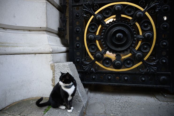 British Prime Minister Announces The  Details Of Her Resignation