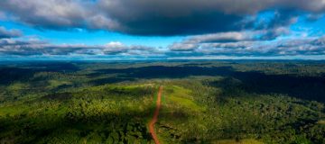 Topshot-Downiamac-Brazilië-Amazonia-ontbossing