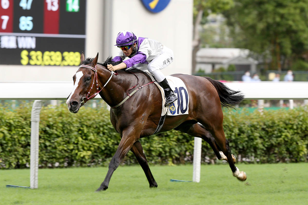 Hong Kong Racing Tips: Plenty of reasons to be Bullish about Chau’s ride