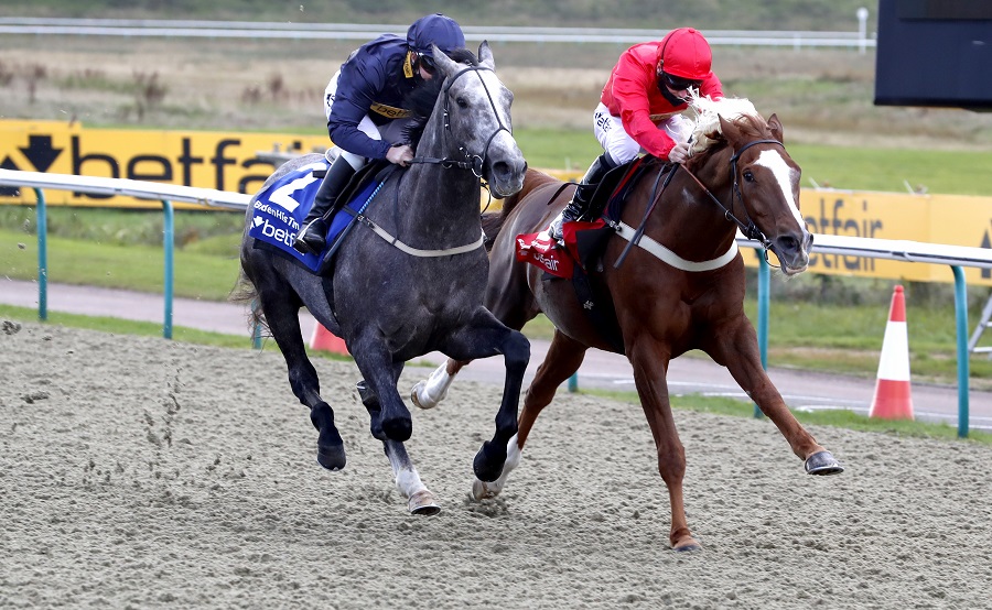BidenHisTime - a grey - beat SuperTrump in a race held by Betfair at Lingfield Park this week 