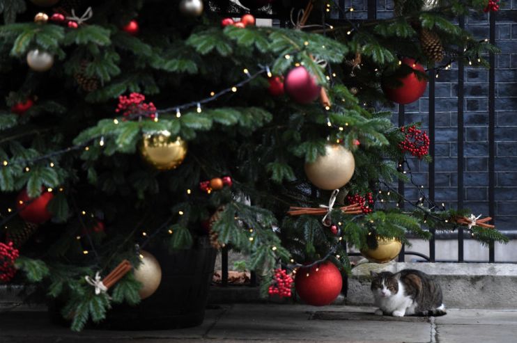 Boris Johnson Appoints His Cabinet