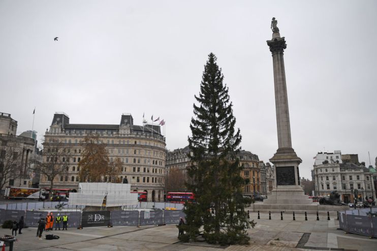 Trafalgar Square Receives Christmas Tree For The Festive Season