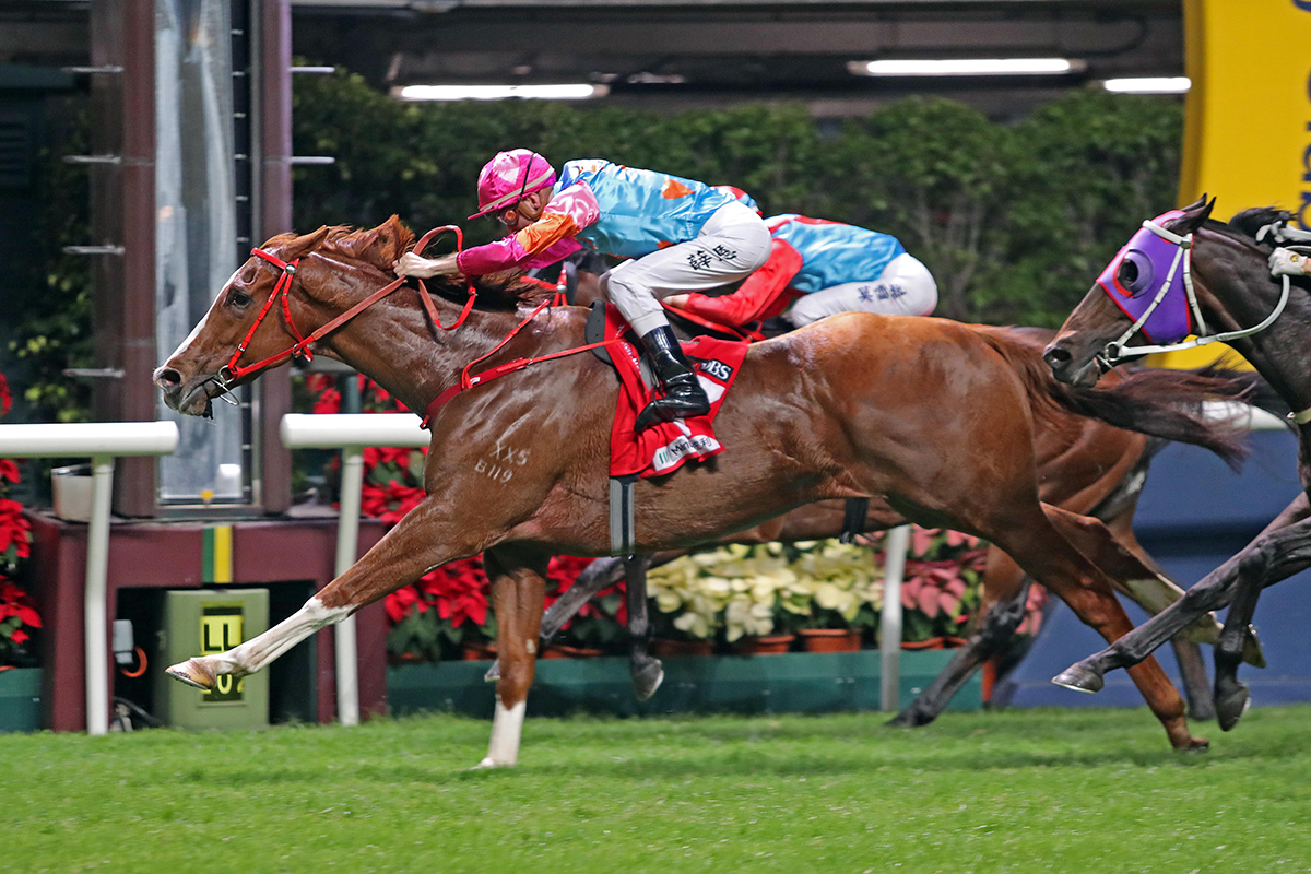 Hong Kong Racing Tips: Bo Bo looks a Handsome bet - Vimarsana News