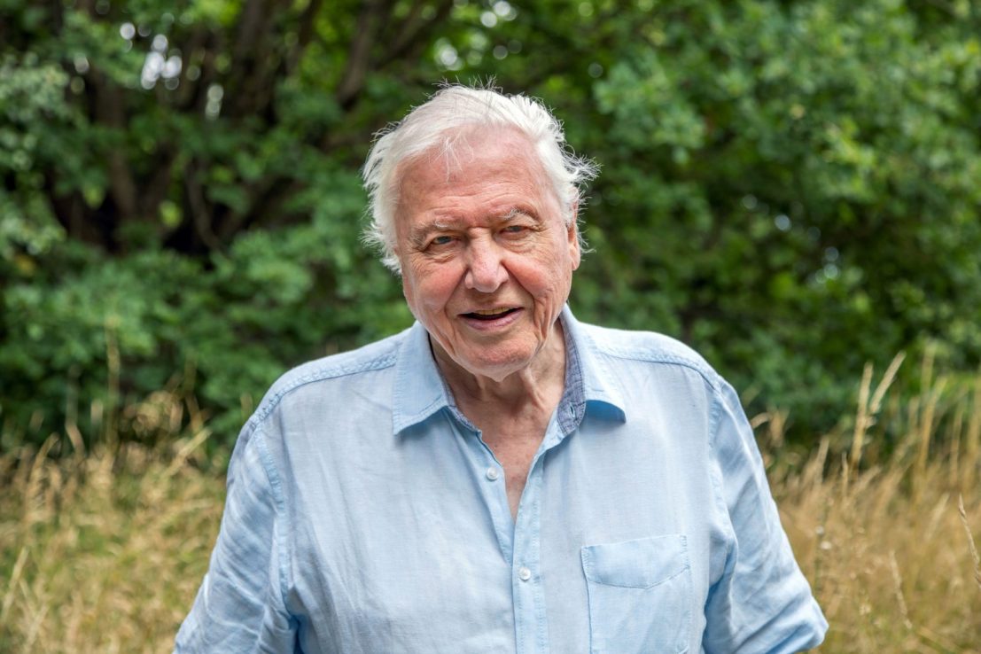 National treasure Sir David Attenborough will feature in a new augmented reality app (Image: BBC)