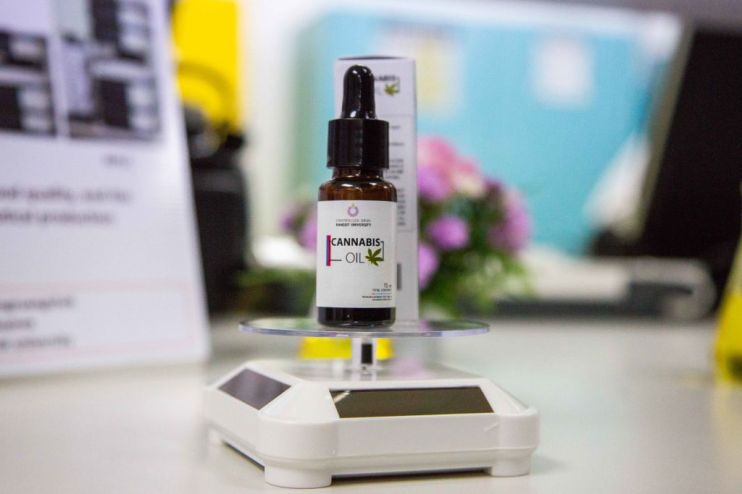 Thailand's Medical Marijuana Lab In Bangkok