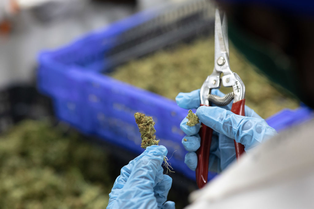 Is the medical marijuana industry gearing up for a boom?