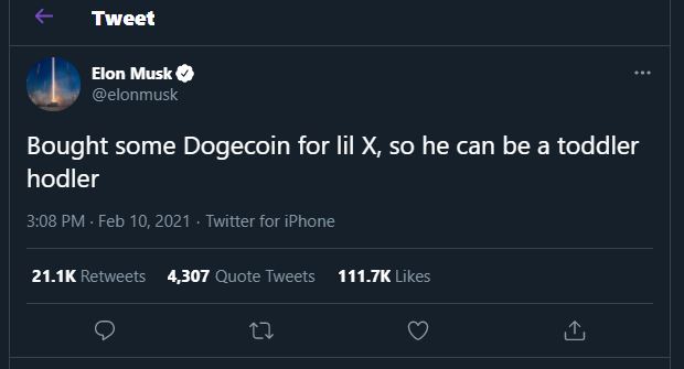 Elon Musk Doge tweet