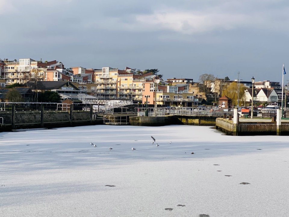 When Fulwell freezes: Thames become ice cream for the first time in 60 years