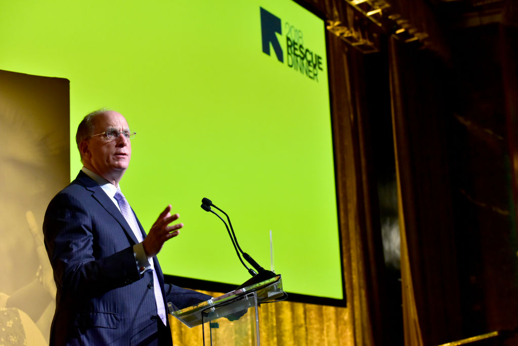 Larry Fink, CEO of BlackRock, recently called for more sustainable investment practices. However, research has shown BlackRock to be the second largest investor inthe coal industry. (Photo by Eugene Gologursky/Getty Images for IRC)