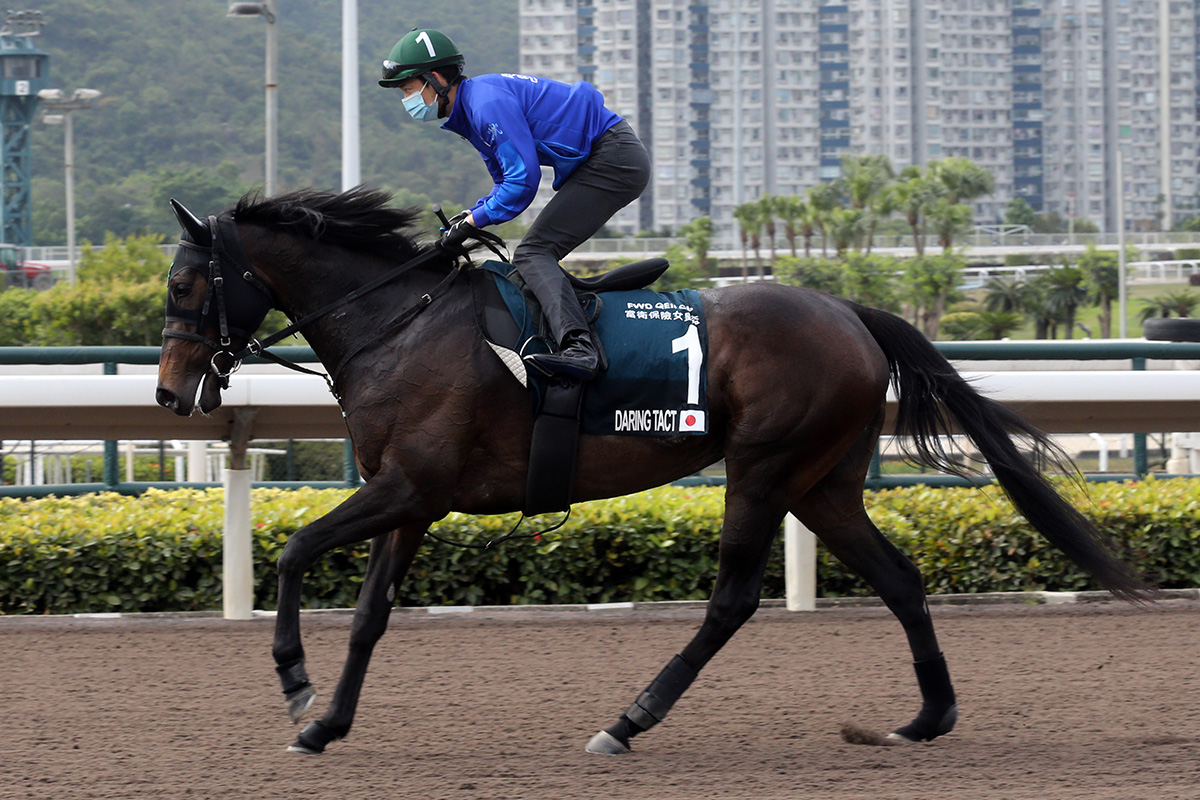 Hong Kong Racing Tips: Japan to dominate QEII - Vimarsana News