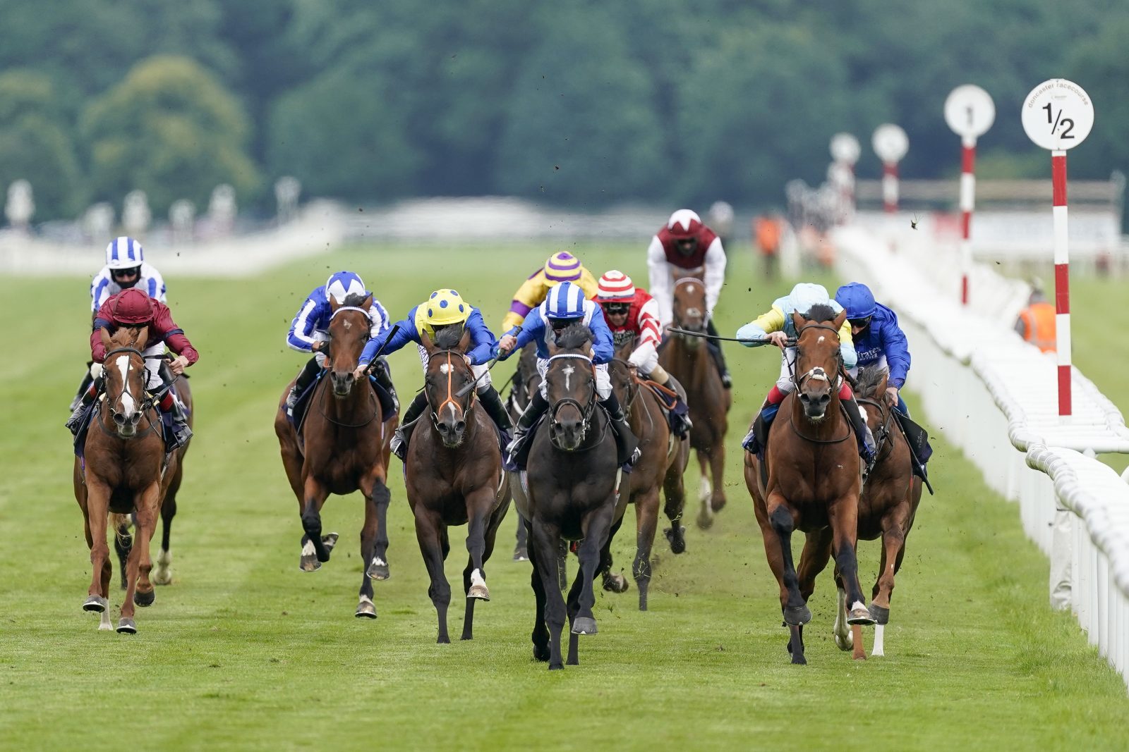 Make your Guineas with a Jockey Club Quinella - Vimarsana News