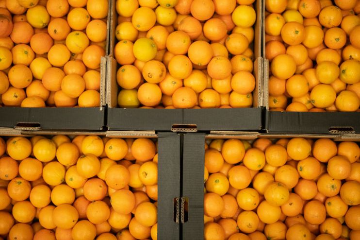 Natoora, Food Wholesaler For Restaurants, Shifts To Home Delivery Amid Coronavirus Lockdown