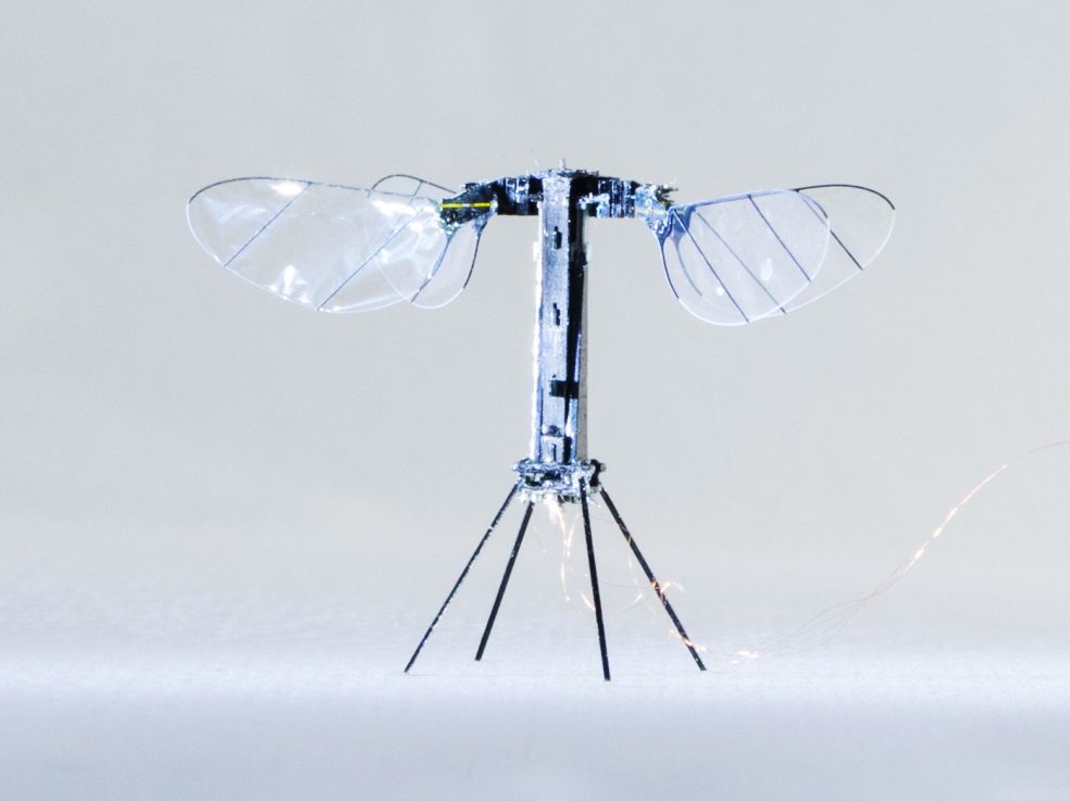 The RoboBee biomorphic drone emulates the behaviour of bees.