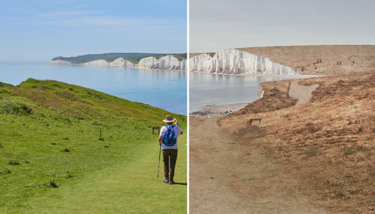 Without bees Seven Sisters in East Sussex would lose the stunning green landscape