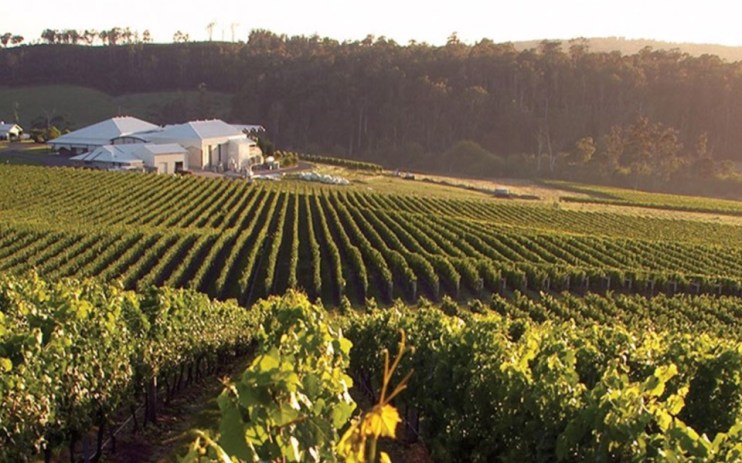 Bay of Fires vineyard in Tasmania